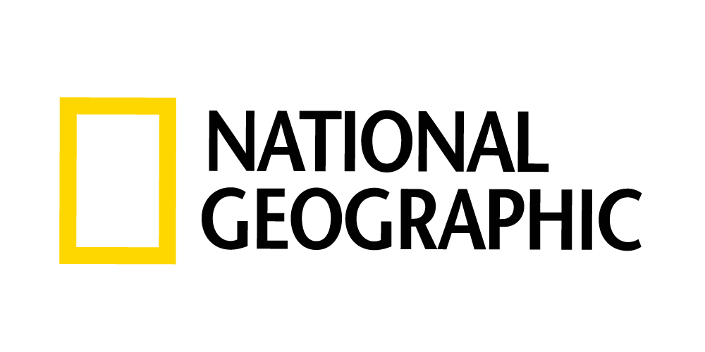 pngwing.com (7)